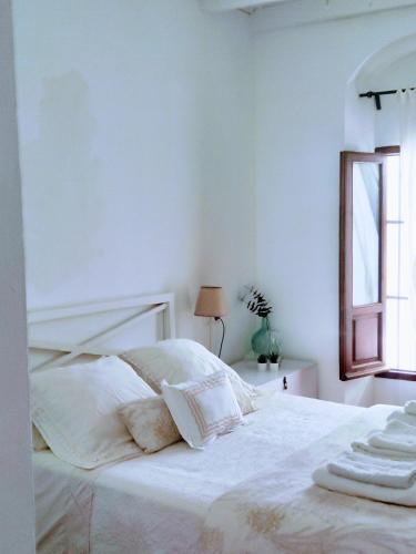 Carola GuestHouse