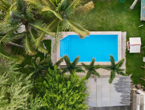 an overhead view of a swimming pool with palm trees at Stone House Mancora in Máncora