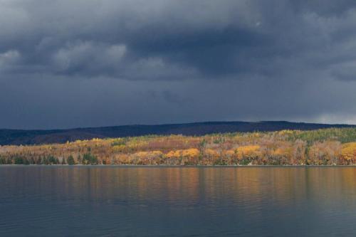 a view of a lake with trees in the background at Tiny Loon and Mayfly Tiny House in Strathlorne