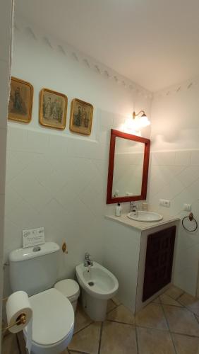 a bathroom with a toilet and a sink and a mirror at Casa Rural del Guadalora in Hornachuelos