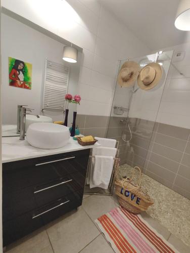 une salle de bain avec un lavabo et une douche dans l'établissement Appartement charmant à la Teste de Buch, à La Teste-de-Buch