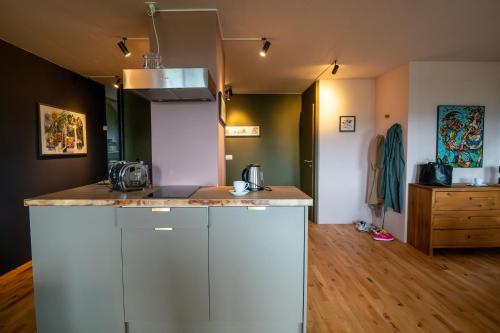 a kitchen with a counter top in a room at BnB Belle5 in Bellerive