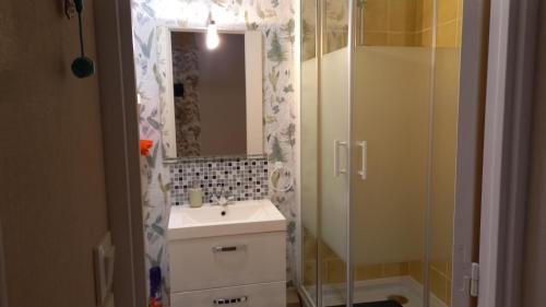 une salle de bain avec un lavabo et une douche avec un miroir dans l'établissement studio 1 pièce principale avec balcon local à vélo privé place dans la rue pour voiture, à Dieppe