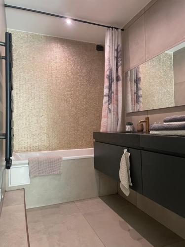 une salle de bain avec une douche, un lavabo et une baignoire dans l'établissement Le cosy du roi, à Fontenay-le-Fleury