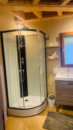 une douche en verre dans une salle de bain avec un lavabo dans l'établissement Belle Vue, à Pers-Jussy
