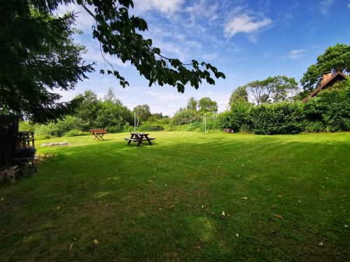 a picnic table in a field of grass at Penzion Kovářov in Frymburk