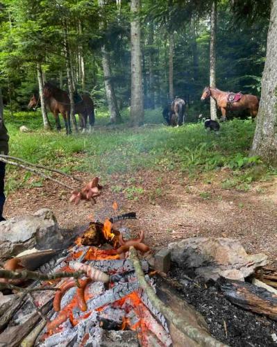 a campfire with horses in the background with a group of horses at Gîte équestre Au village 45 in Fontenais