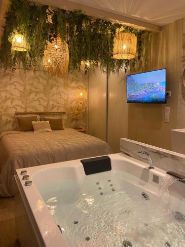 bagno con vasca, letto e TV di Le cocon du désir - Balnéo et haut de gamme a Saint-Nazaire