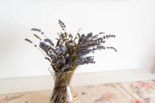 a vase filled with purple flowers sitting on a table at Apartman Lili in Knin