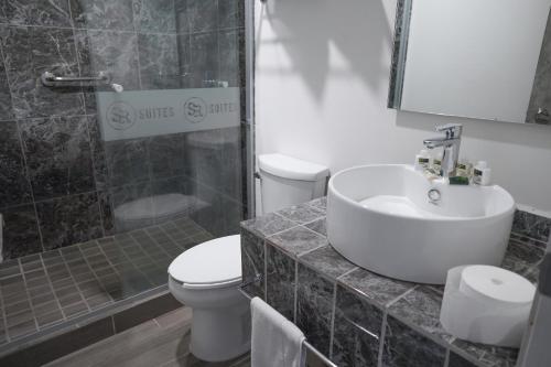 a bathroom with a sink and a toilet and a shower at SR Hotel in Guadalajara