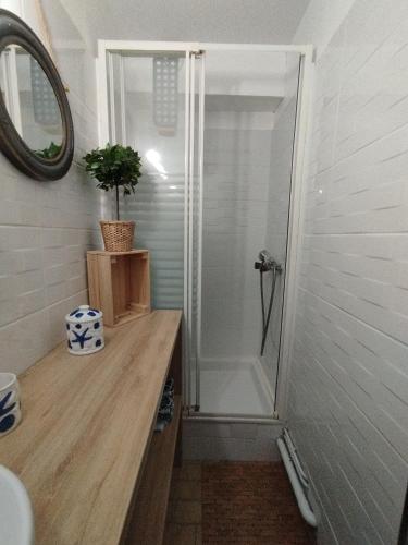 une salle de bain avec une douche avec un lavabo et un miroir dans l'établissement L'effet mer, au Grau-du-Roi