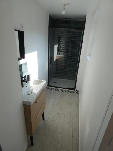 La salle de bains est pourvue d'un lavabo et d'une grande douche. dans l'établissement La jolie citadine, à Tourcoing