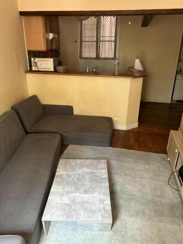 un salon avec un canapé et un bar dans l'établissement Monteleone Appart, à Paris