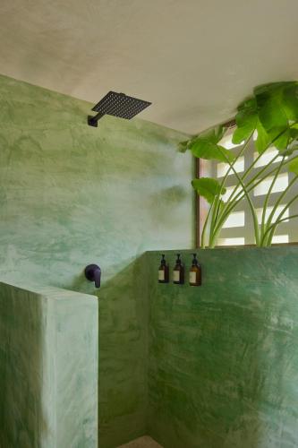 a green bathroom with a shower with a plant at Punta Nayaá - Adults Only in Puerto Escondido