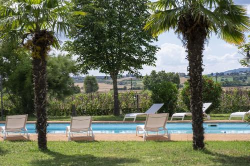 a group of chairs and palm trees next to a swimming pool at Assisi Villa Simi in Petrignano