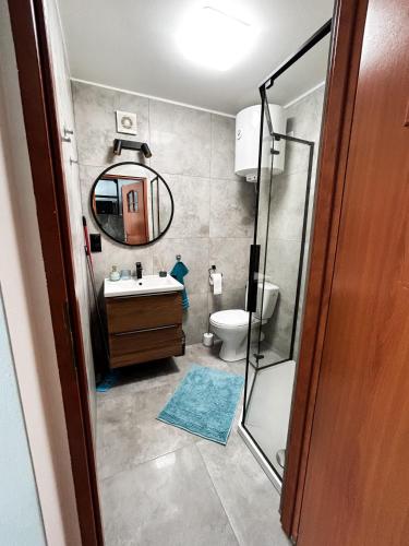 a bathroom with a sink and a toilet and a mirror at Apart & Plus 2 in Okuninka