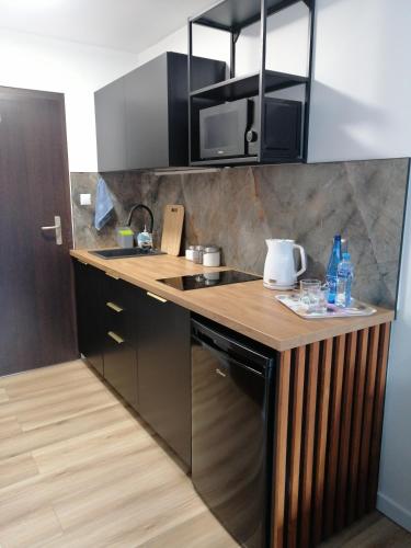 a kitchen with a counter with a sink and a microwave at Apart & Plus 2 in Okuninka