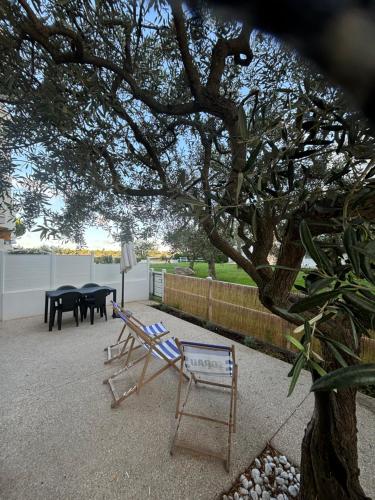 Vue lac et terrasse superbe Appartement cosy 4 pers