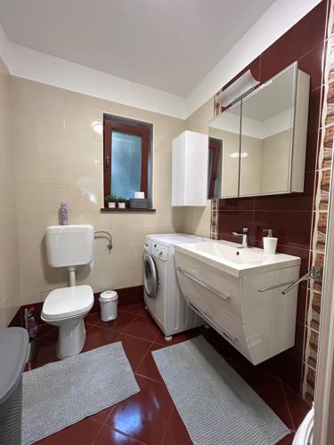 un bagno con lavandino e lavatrice di Apartman Roža a Matulji (Mattuglie)