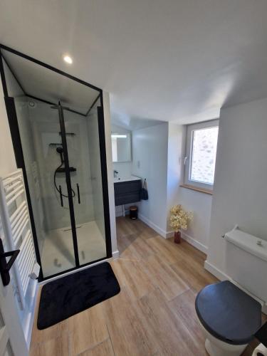 une chambre avec une douche avec des toilettes et un lavabo dans l'établissement Maison chaleureuse et élégante, à La Roche-sur-Yon