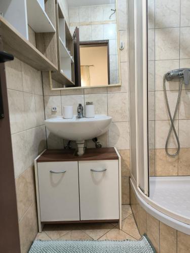 a bathroom with a sink and a shower at Apartman Zora in Neum