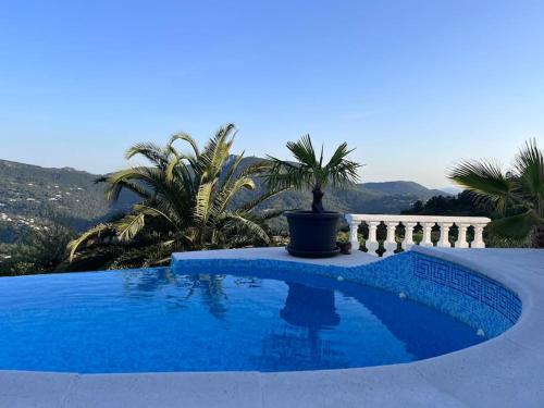 une piscine bleue avec une plante en pot posée dessus dans l'établissement Cosy apartment close to beach, great views & pool, à LʼÉglise