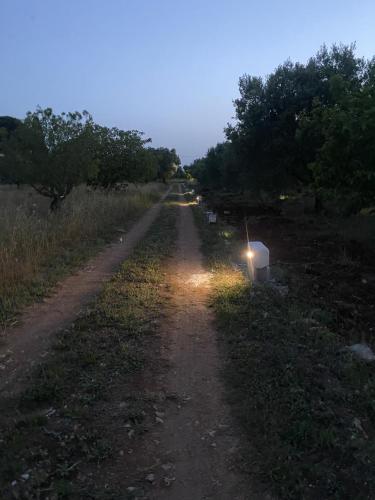 a dirt road with a light on the side at Trullo Moi in Ostuni