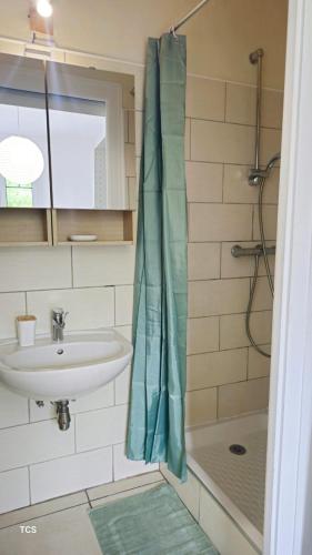 une salle de bain avec un lavabo et une douche dans l'établissement La terrasse de rives, à Thonon-les-Bains