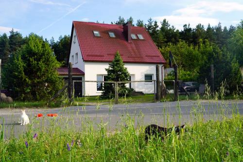 TrzebcinyLeśna Kryjówka的街上有一栋红色屋顶的房子和两只猫
