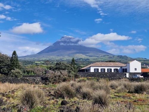 a mountain in the distance with a house and a building at Solar dos limas in Criação Velha