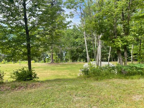 a field of grass with trees in the background at Keuka Lake Views and Hiking in Hammondsport