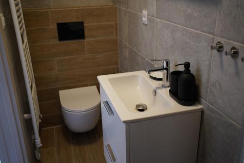 a bathroom with a sink and a toilet at Rodinný apartmán Čistá in Cerny Dul