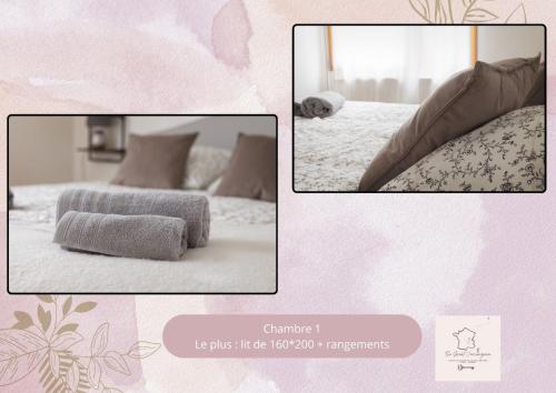 a collage of two pictures of a bedroom with a bed at Appartement le Joliot Curie 4-6 pers à Lyon - Eurexpo - LDLC - POLUTEC - SALON DE L'AUTO in Lyon