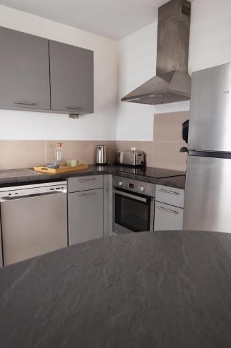 a kitchen with stainless steel appliances and gray cabinets at Appartement le Joliot Curie 4-6 pers à Lyon - Eurexpo - LDLC - POLUTEC - SALON DE L'AUTO in Lyon