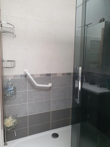 une salle de bain avec douche et lavabo dans l'établissement Maison de plain pied proche JO 2024, à Élancourt