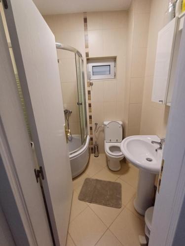 a bathroom with a toilet and a sink at Apartment Milan in Boreti