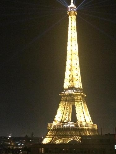 Eiffel Tower Incredible View