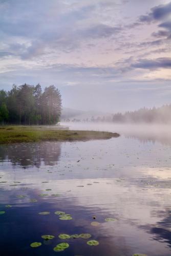 a body of water with lily pads in the water at Luxury off grid house in Viksjöfors
