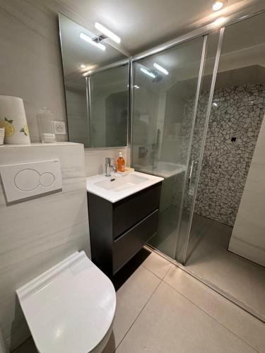 une salle de bain avec toilettes, lavabo et douche dans l'établissement 1 Bedroom Flat in heart of nice, à Nice