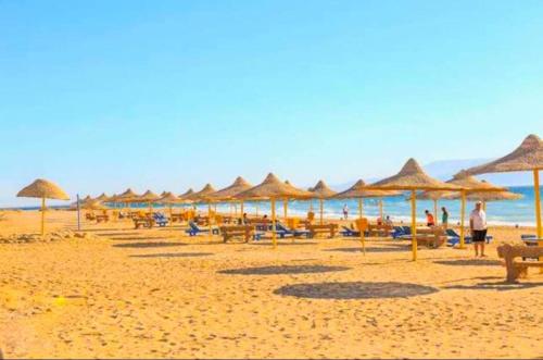a beach with many umbrellas and chairs and the ocean at منتجع ريفيرا in Ras Sedr