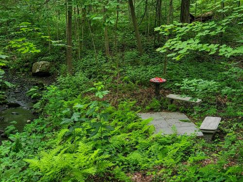 Κήπος έξω από το Near Marist/Vassar/Culinary Inst./Historic Sites!