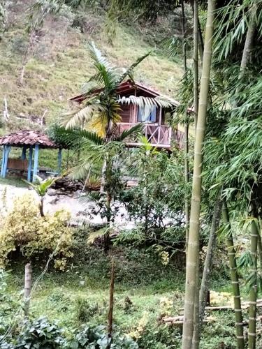 a small house on a hill with palm trees at Sierra de viboral adventures in Medellín
