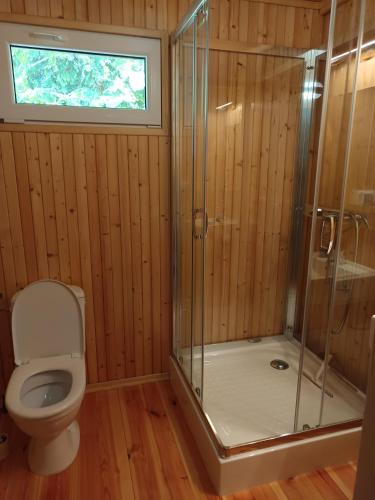 a bathroom with a toilet and a glass shower at Domek nad Pisą in Kolno