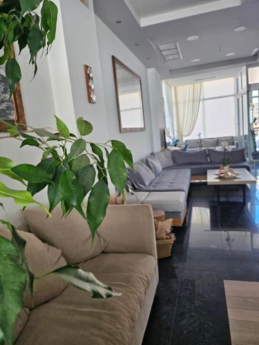 a living room with a couch and a plant at Nisaki Hotel & Elite Suites in Ermoupoli