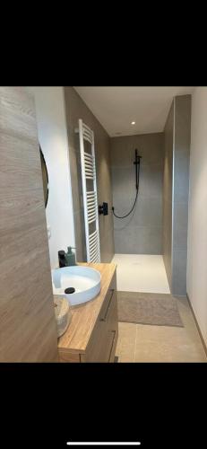 une salle de bain avec un lavabo blanc et une douche dans l'établissement Logement route de vin, à Bœrsch