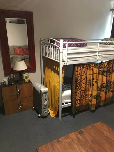 a bedroom with a bunk bed and a mirror at Flying Fox Backpackers in Katoomba