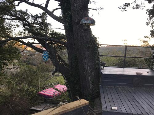 a tree with two pink chairs on a wooden deck at Flying Fox Backpackers in Katoomba