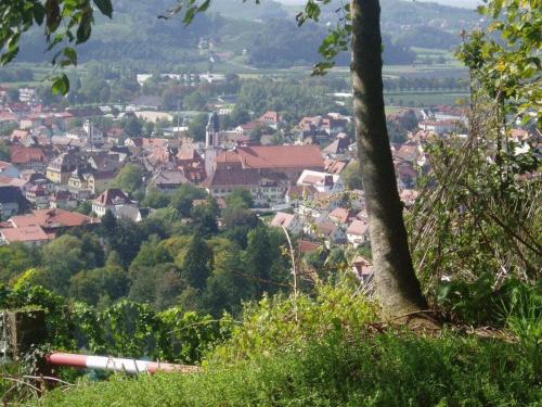 a view of a city from a tree at Ferienhof Mayer - Apartment 2 in Lautenbach