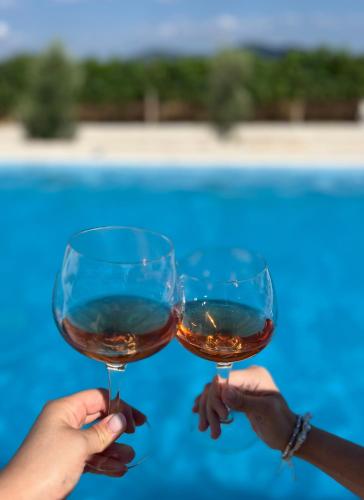 Ποτά στο House of wine Sušac