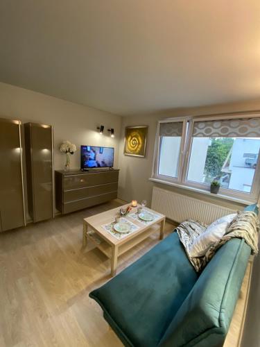 TV a/nebo společenská místnost v ubytování Omega Apartment